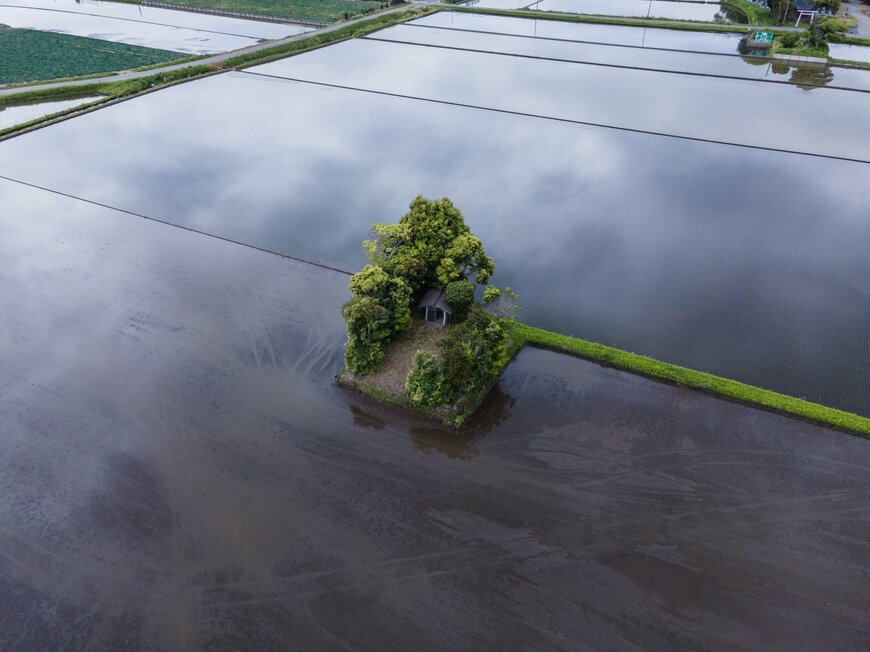 画像出所：@enuenuenubi