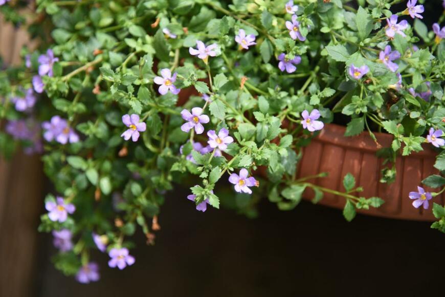 photoPOU/shutterstock.com