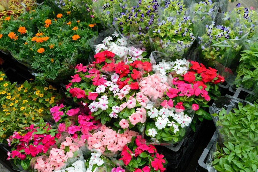 TungCheung/shutterstock.com