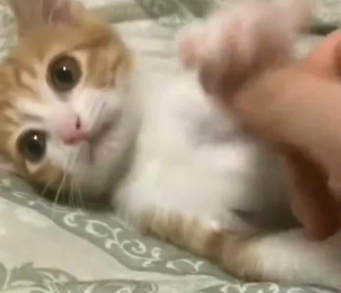 出所：@mero627puri914