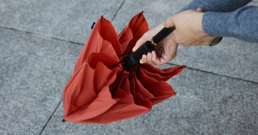 出所：株式会社マーナ　Shupatto アンブレラ Plus