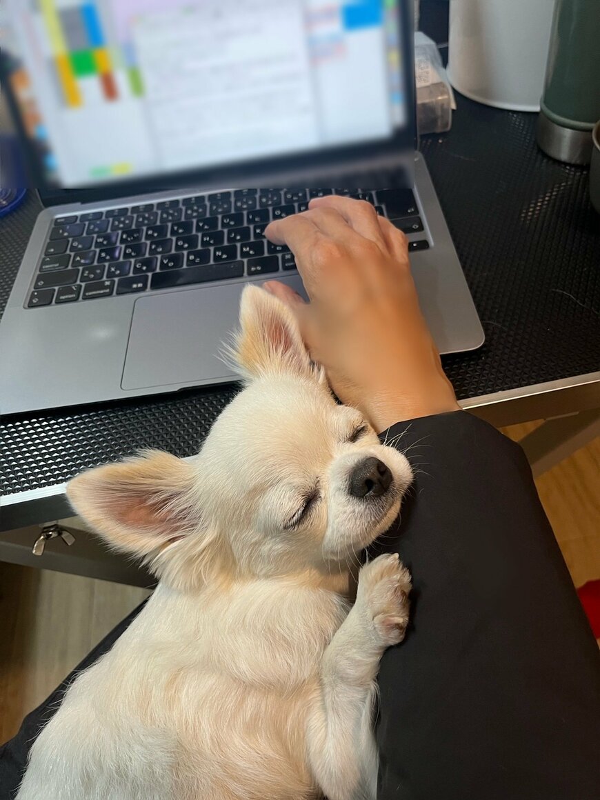 満足気な表情で眠るワンちゃん