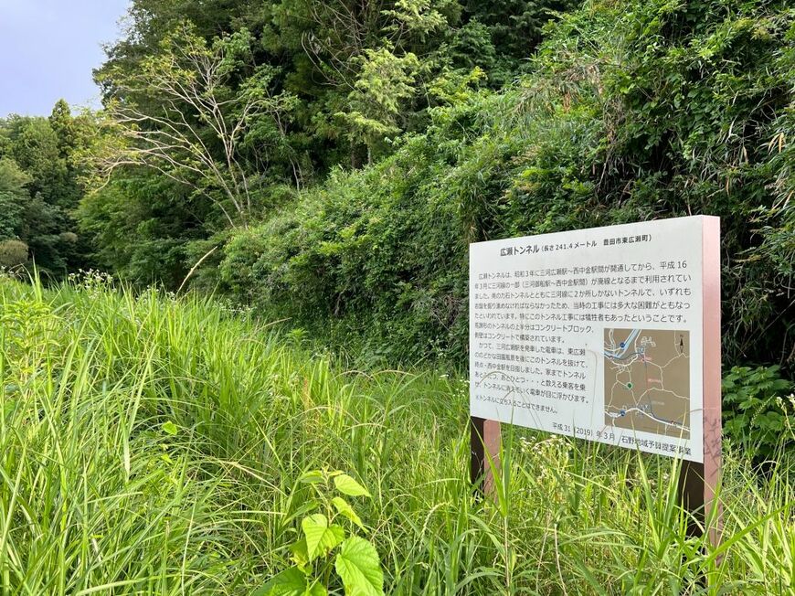 手入れされている箇所もある