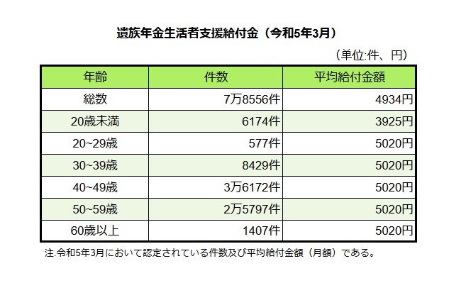 遺族年金生活者支援給付金（20歳未満から60歳以上）