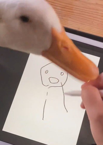 絵を描く飼い主に構ってほしいアヒル