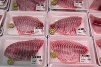 【これ美味しいの？】店先に並ぶ「磯釣りの外道」に釣り人困惑　気になる味に「意外といける」「俺は無理」と意見対立