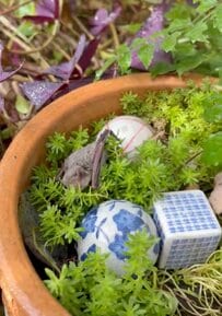 植木鉢をよく見ると…コウモリを発見！珍しい光景に「貴重な生態映像かも」と反響続出