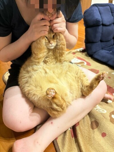 ママに抱きしめられるすずくん