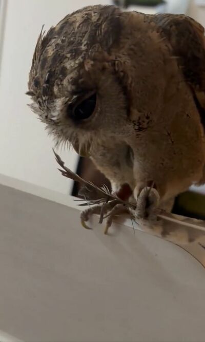 投稿動画のワンシーン