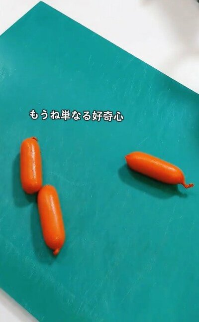 投稿動画のワンシーン