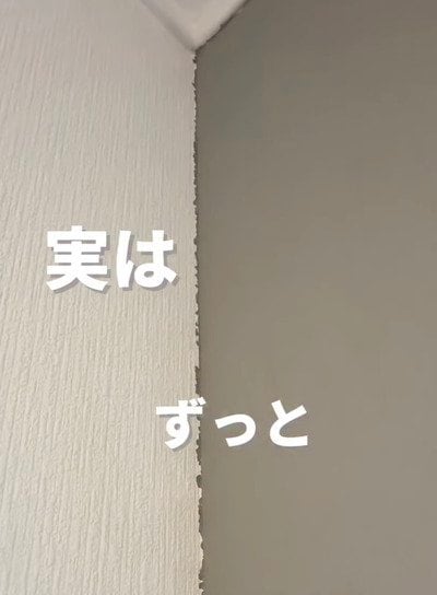 【トイレDIY】ボコボコして気になる〈トイレ壁の塗装〉→〈ジョイントコーク〉を使って美しく補修！細部まで綺麗な〈快適空間〉に大変身させる本格テクニック