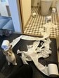 トイレットペーパーをびりびりにした現場で、得意げにこちらを見上げる猫の表情にほっこり