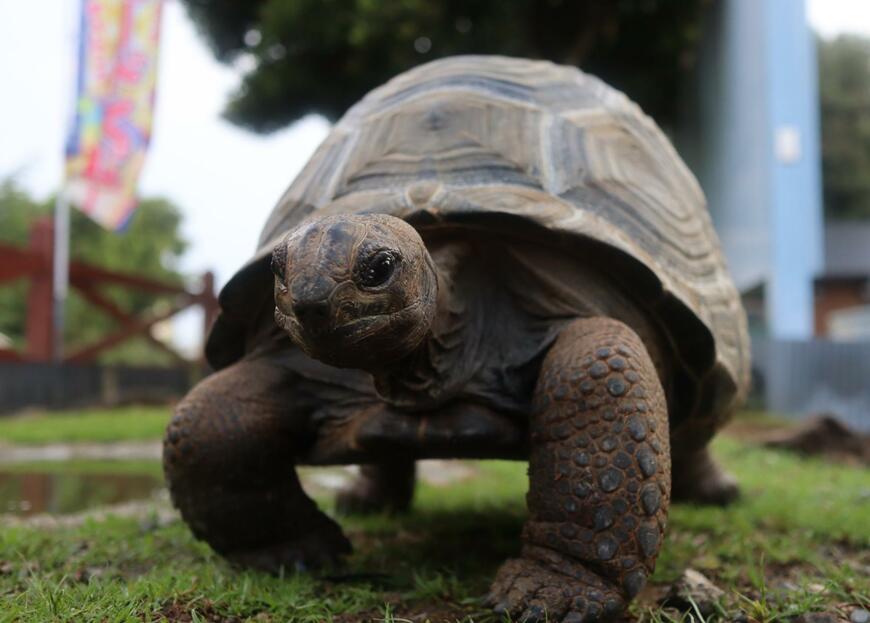 出所：@umigame_kouen