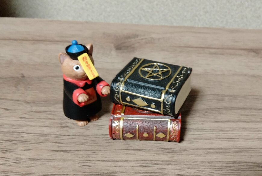 筆者撮影（セリア、リトルフレンド 魔法本）