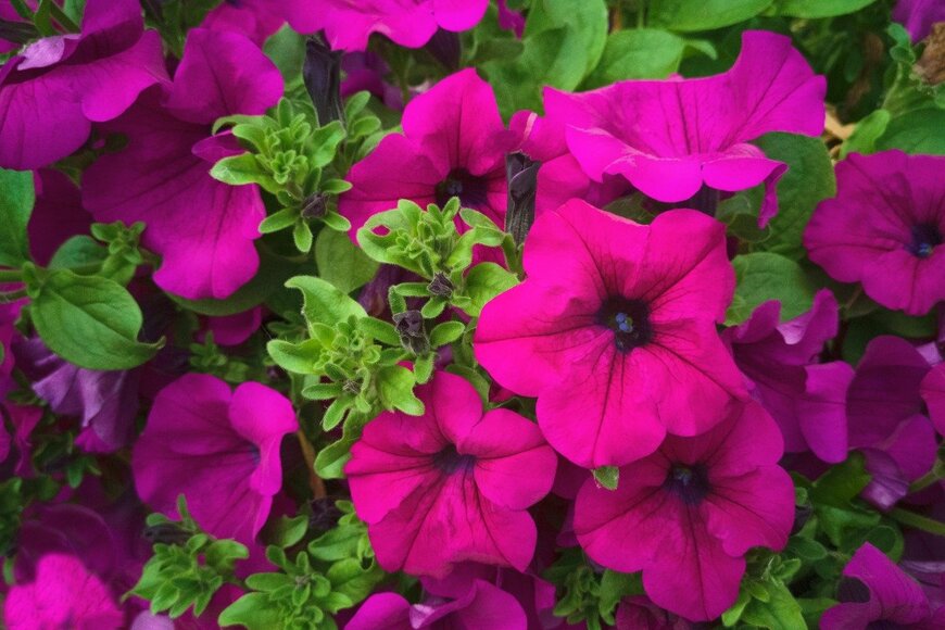 Nina Russkova/istockphoto.com