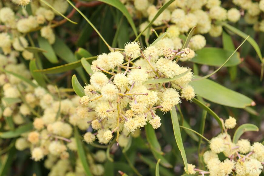 Rusty Todaro/shutterstock.com