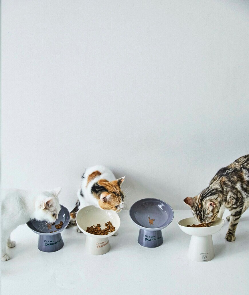 出所：スタディオクリップ公式　【Orneko BY CLIP】ネコ用ごはん台