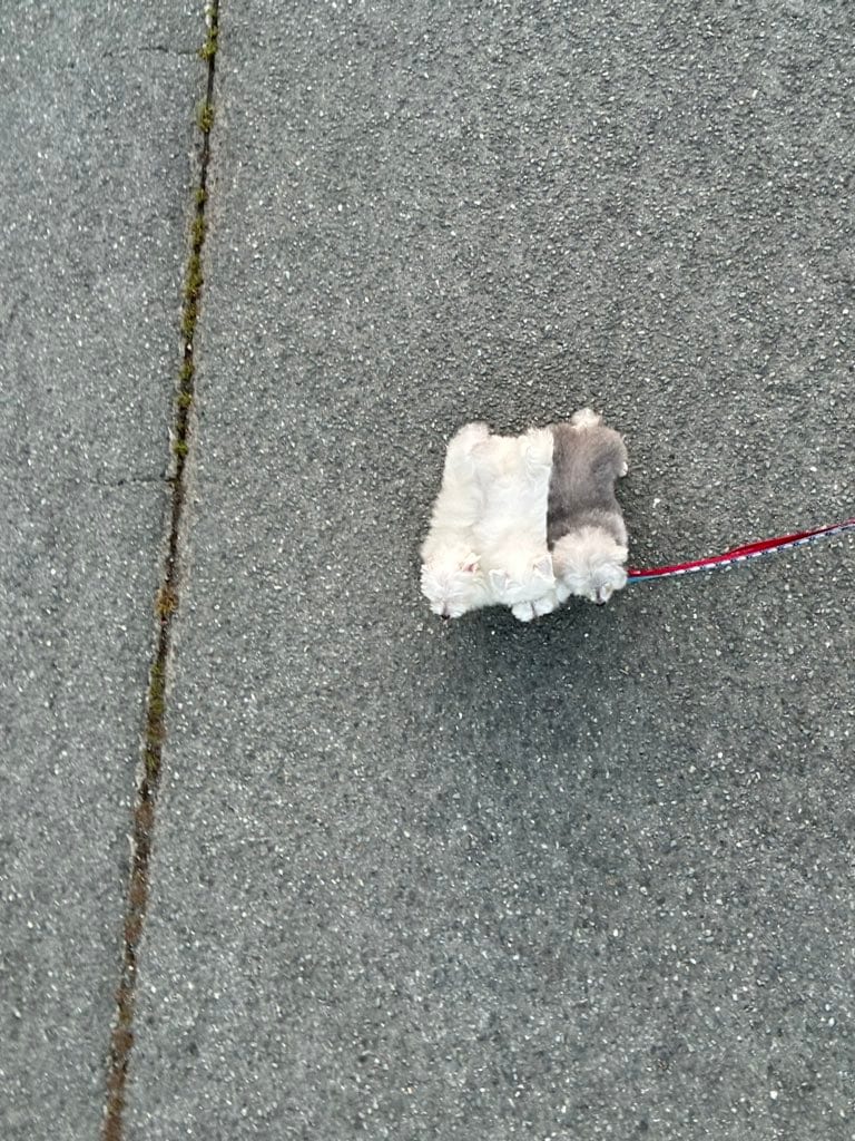 出所：@9Z8lquSv8B3FMpN