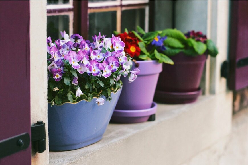 AnnaNahabed/istockphoto.com