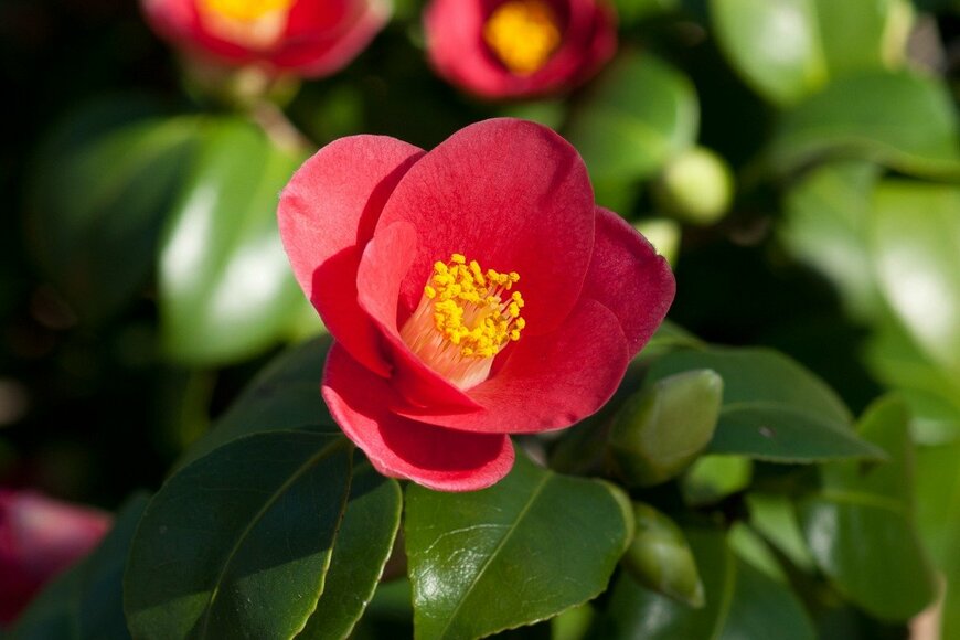 ODrachenko/istockphoto.com