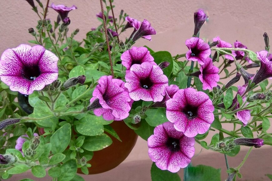 VL2607954/istockphoto.com