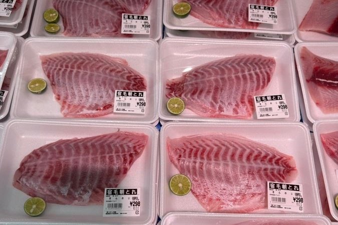 【これ美味しいの？】店先に並ぶ「磯釣りの外道」に釣り人困惑　気になる味に「意外といける」「俺は無理」と意見対立