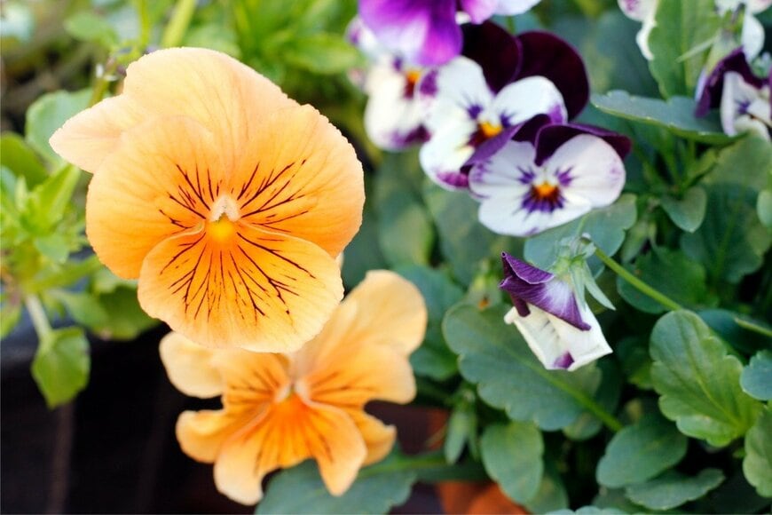 BambiG/istockphoto.com