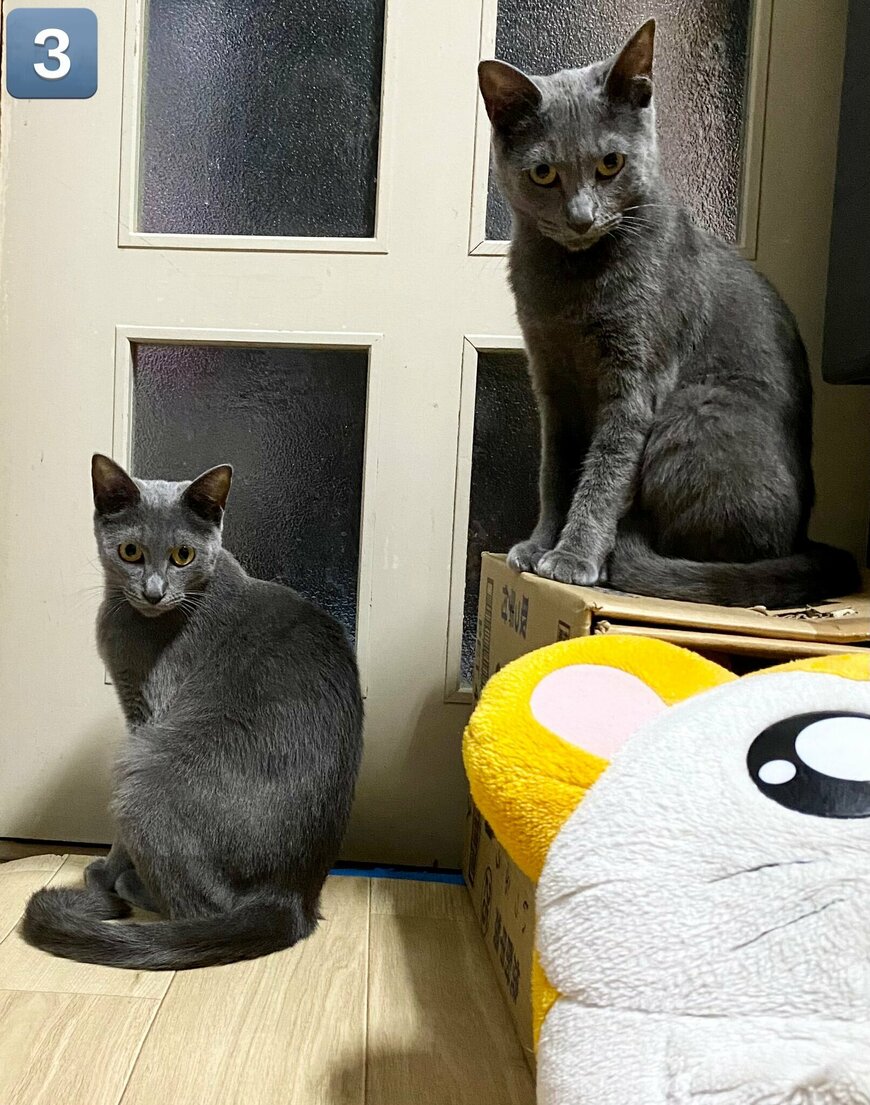 出所：@luna7taka9