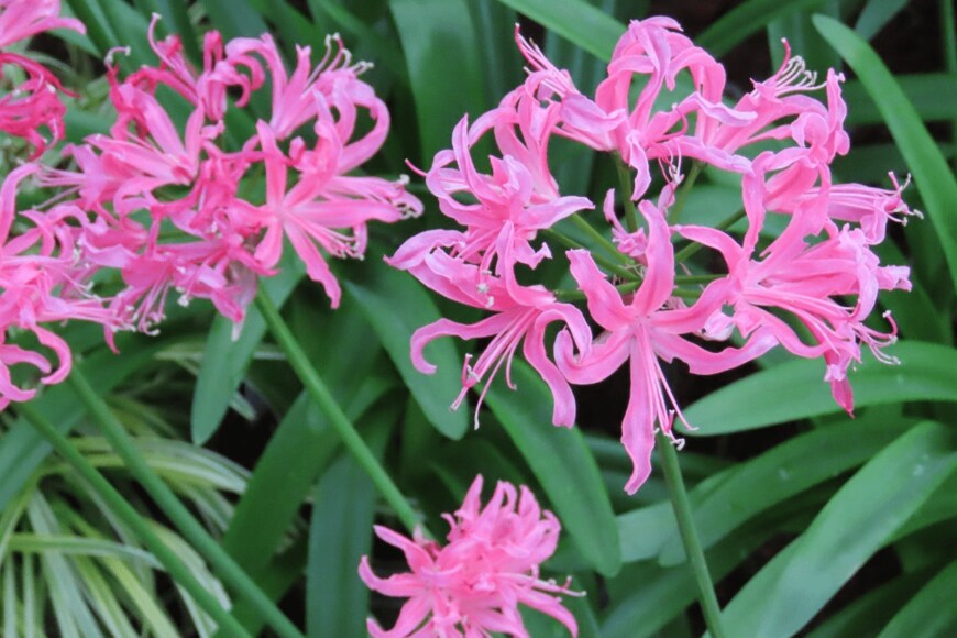 dr-rodriguez/istockphoto.com