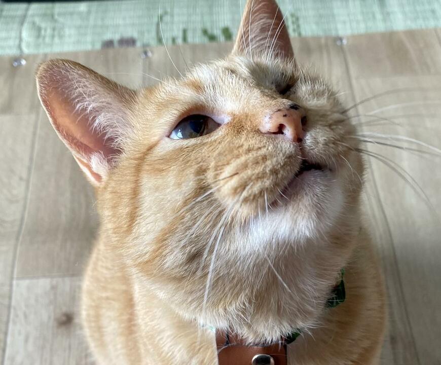 出所：@luna7taka9