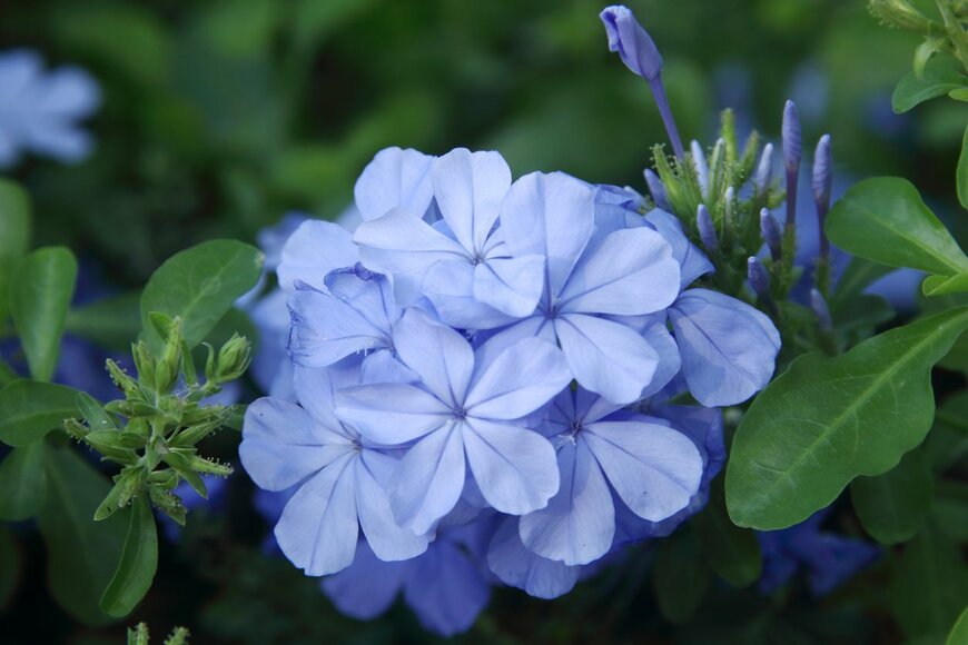 Kanjana Wattanakungchai/istockphoto.com