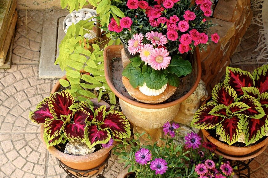 Larisa13/istockphoto.com