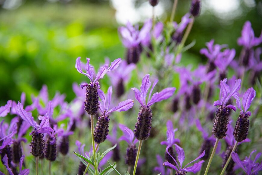 A_tech/Shutterstock.com