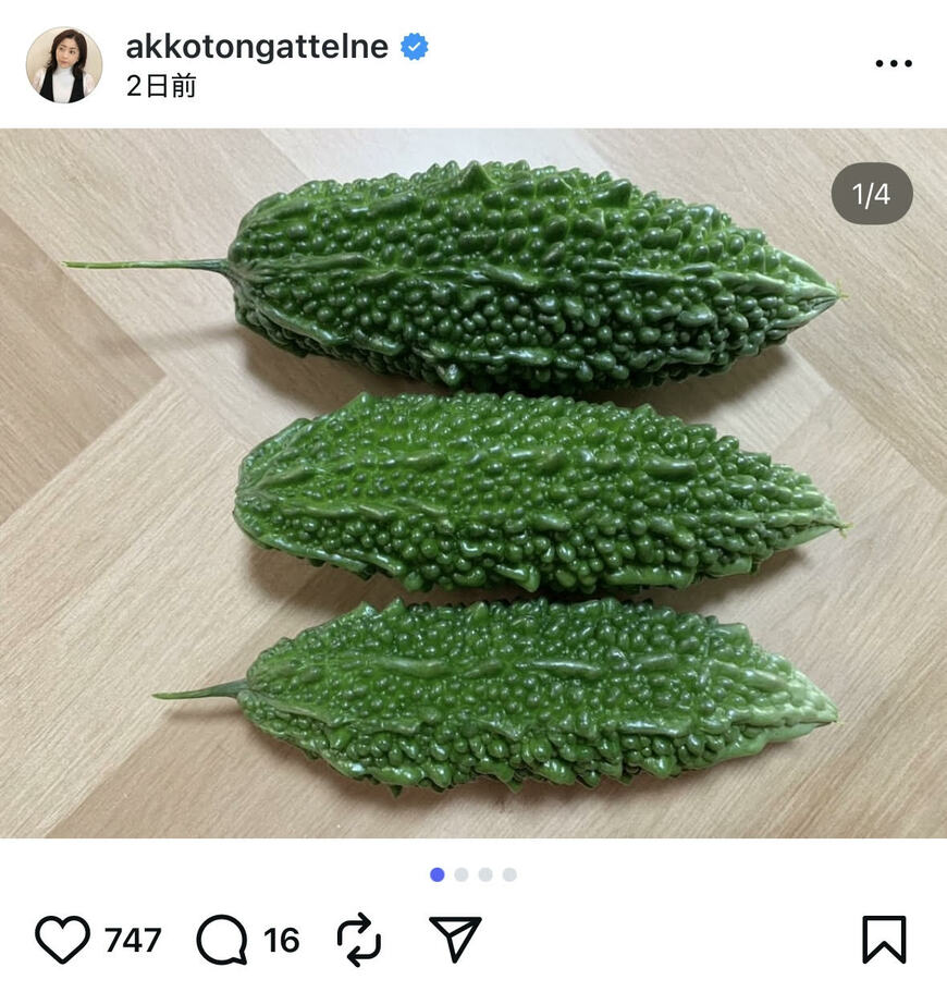 出所：松本明子のInstagram（@akkotongattelne）参照日：2025年8月8日