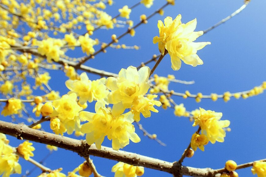 janken/Shutterstock.com