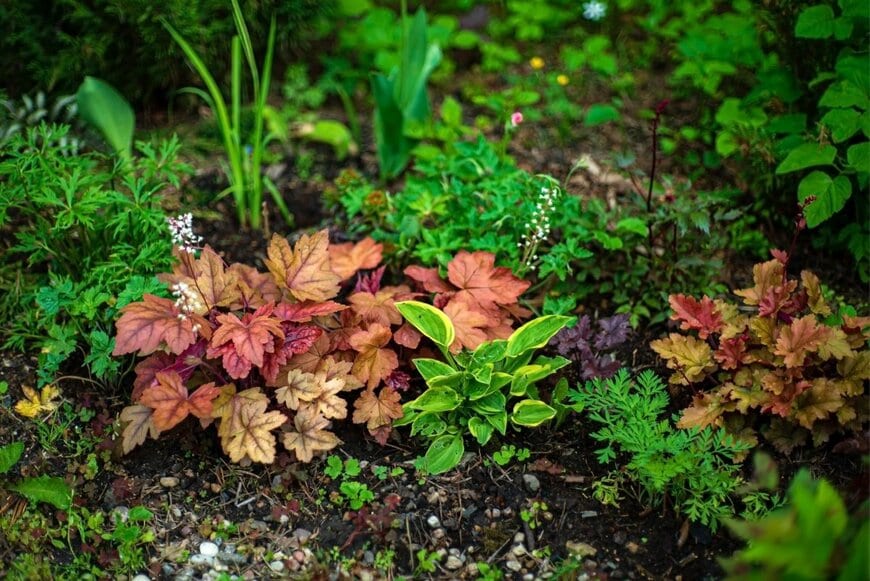 Shebeko/shutterstock.com