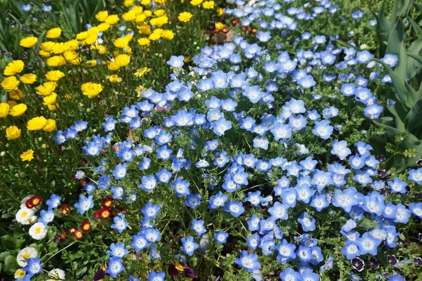 mamesuke/shutterstock.com