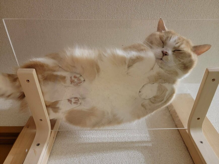 出所：@nekotansoku