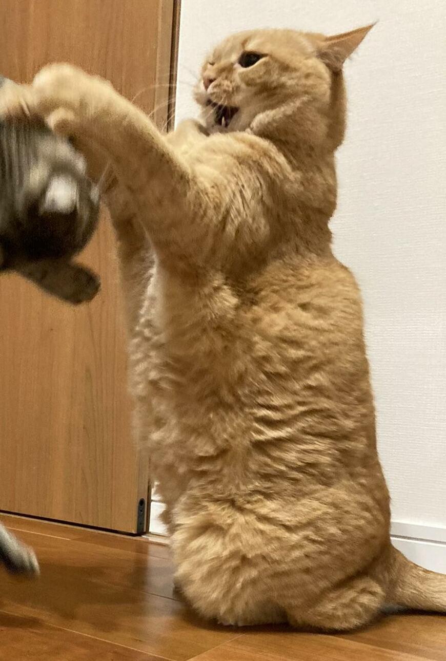 出所：@kagisuzu0531