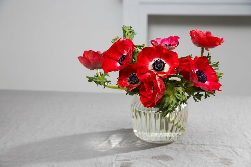 Elena Rostunova/Shutterstock.com