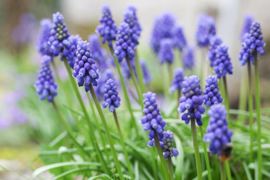 Dalzaca/istockphoto.com