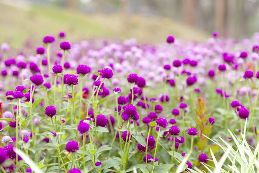 OPgrapher/shutterstock.com