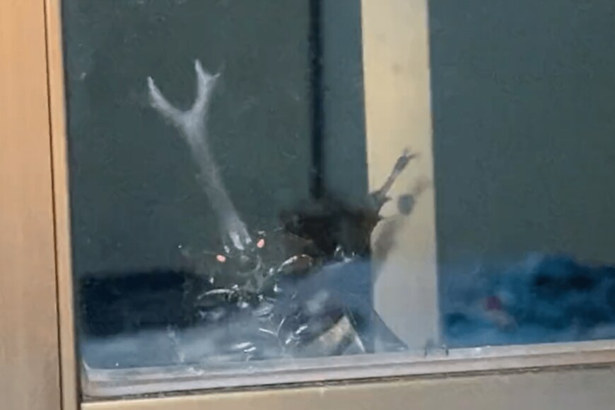 出所：@studio24inasaka