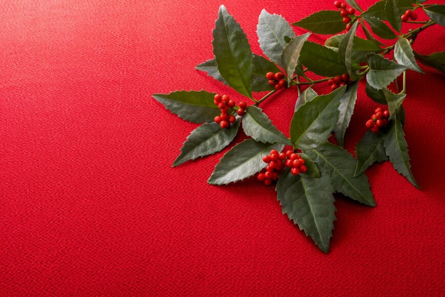 natu/shutterstock.com