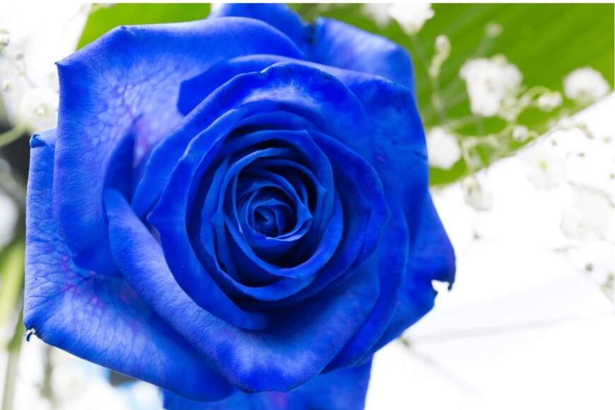 lightium/istockphoto.com