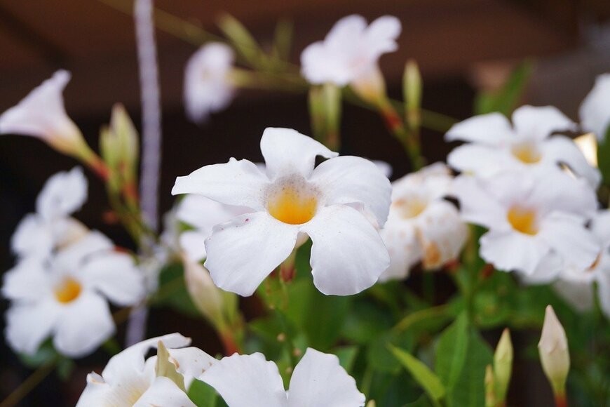 sansa55/istockphoto.com