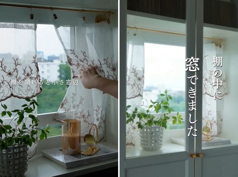 投稿の画像