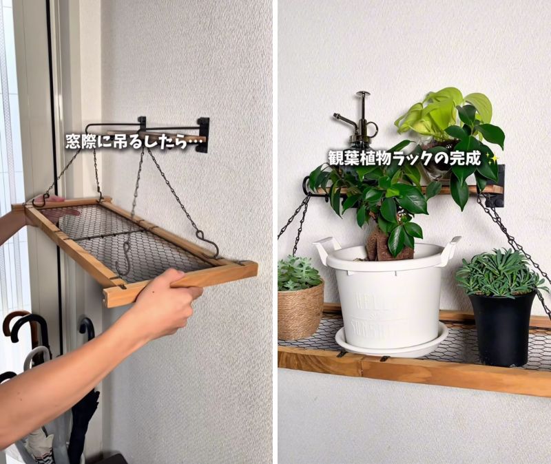 完成した「観葉植物ラック」