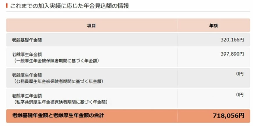ねんきんネット《年金見込額の画面》