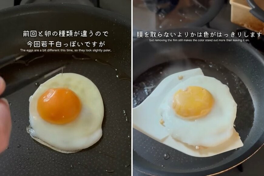 投稿の画像